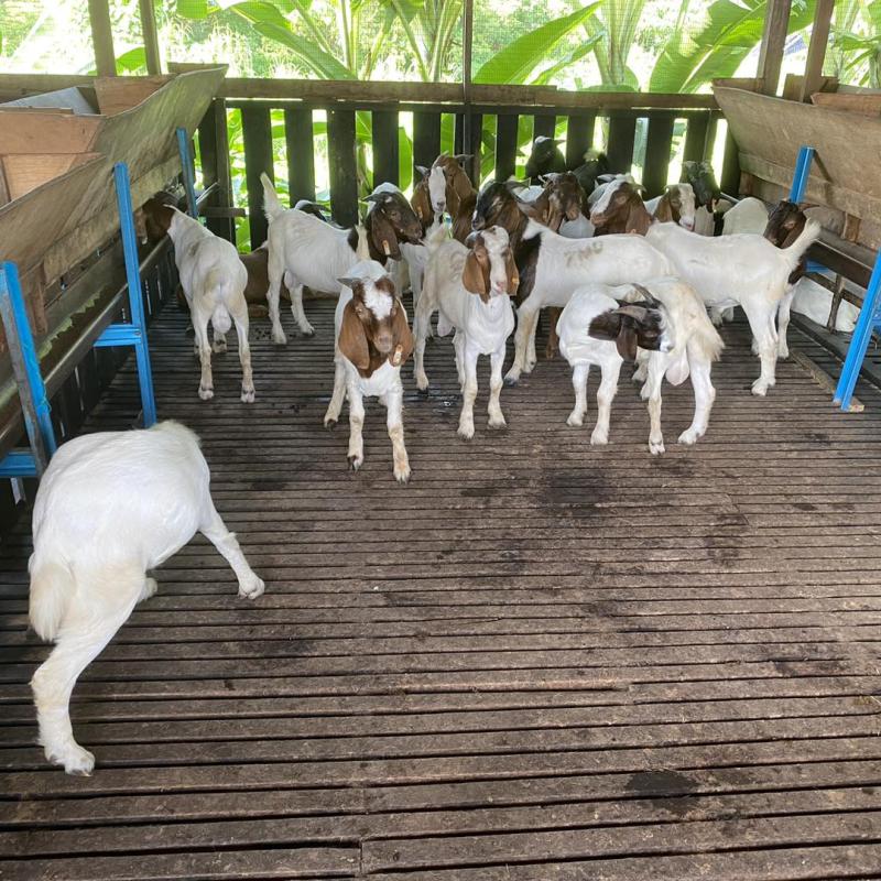 481469189 655286613848088 966223030494549012 N