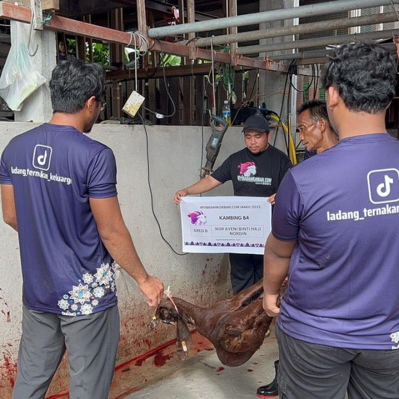 505163353 728364406540308 3155573119332758979 N