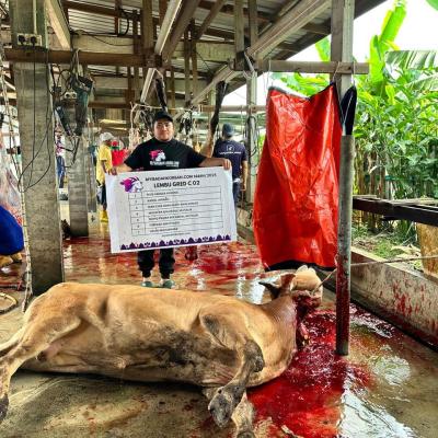 505279492 728364209873661 3627194425191431910 N