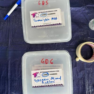 505441174 728364386540310 4473968706704992823 N